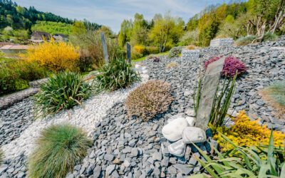 Aménagement de jardin près de Saint-Dié